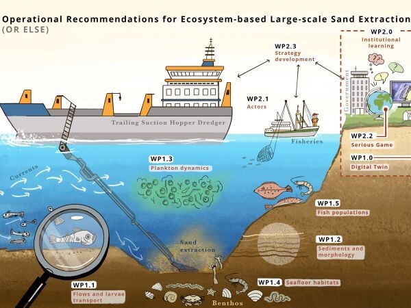 OR ELSE: Operational Recommendations for Ecosystem-based Large-scale Sand Extraction