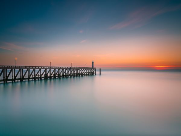 Learn more about the coast